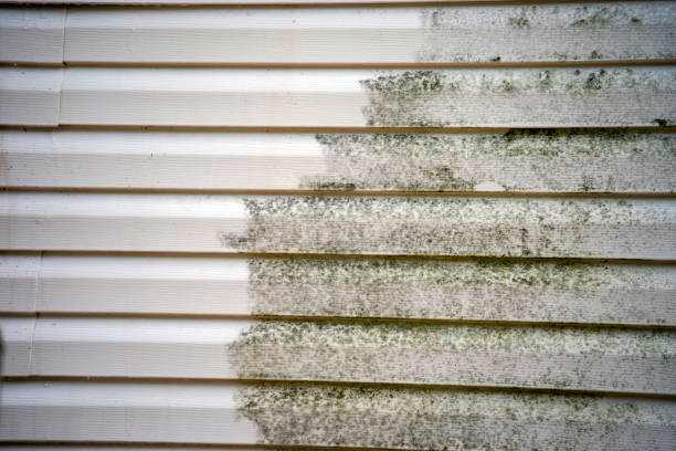 Best Siding for New Construction  in Pleasantville, NJ