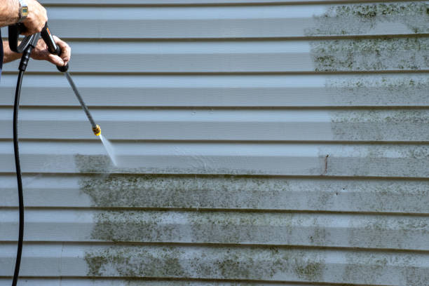 Affordable siding repair and maintenance services in Pleasantville, NJ