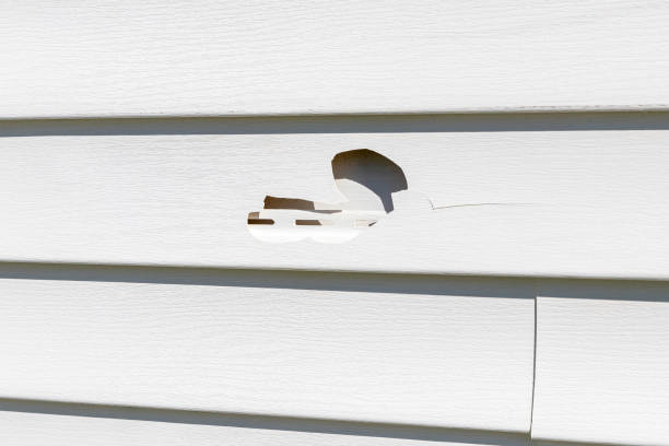 Best Fascia and Soffit Installation  in Pleasantville, NJ