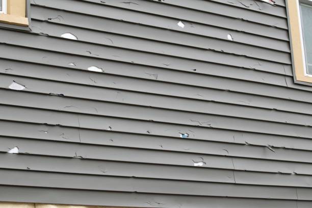 Best Composite Siding  in Pleasantville, NJ